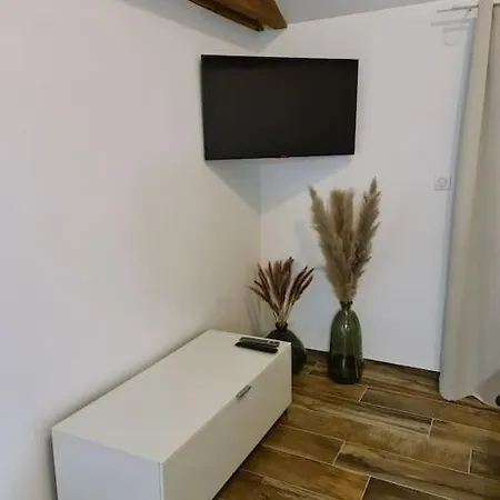 Proche Aeroport Bale/mulhouse